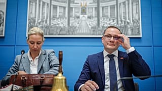 Dirigeants du parti AfD.