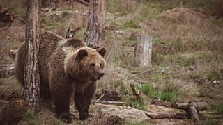 Photo de Vincent M.A. Janssen/PEXELS