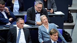 Der Verfassungschutz hat die AfD offiziell als gesichert rechtsextrem eingestuft