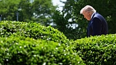 Усилия Дональда Трампа по завершению войны в Украине пока не увенчались успехом