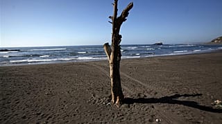 Σεισμός μεγέθους 7,5 βαθμών στη Χιλή
