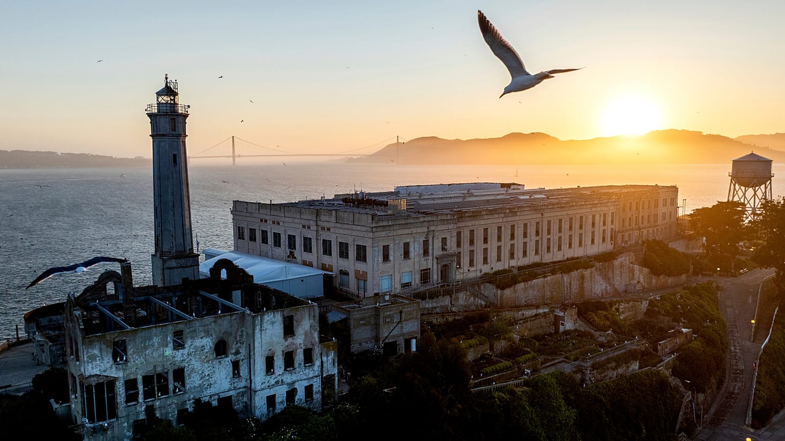 Bir kuş 4 Mayıs 2025 Pazar günü San Francisco Körfezi, Kaliforniya, Amerika Birleşik Devletleri'nde Alcatraz Adası'nın üzerinde uçuyor.