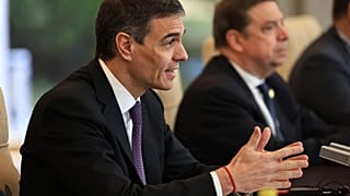 El presidente del Gobierno, Pedro Sánchez.