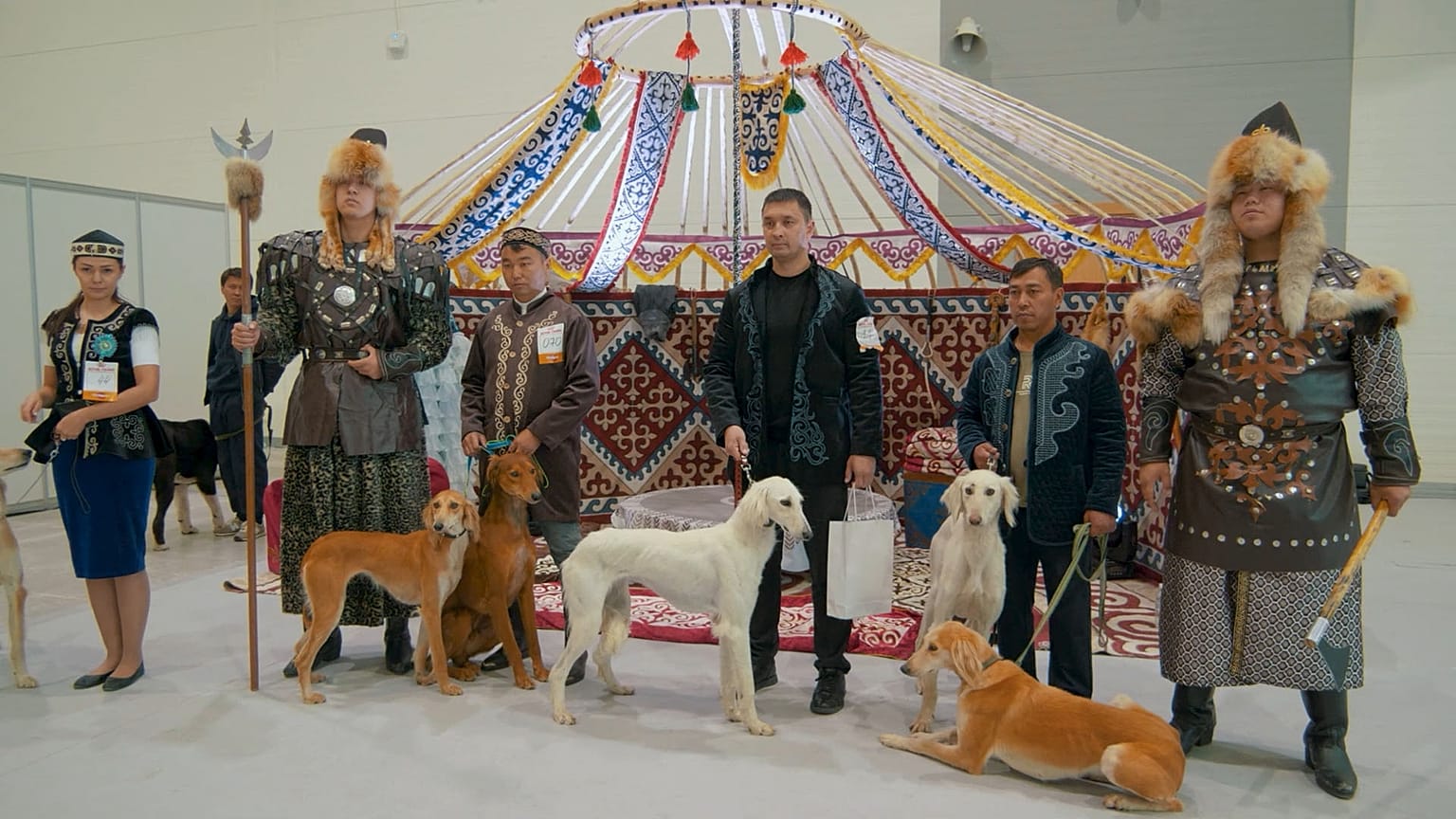 El galgo kazajo Tazy: de guardián nómada a icono nacional