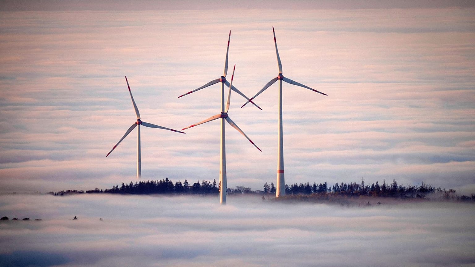 Des éoliennes entourées de brouillard dans la région du Taunus, près de Francfort, en Allemagne, en novembre 2024.