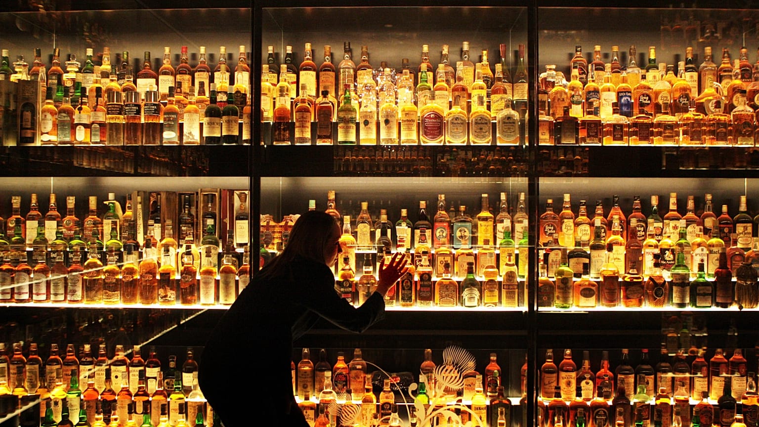Bir personel Edinburgh'daki Scotch Whisky Experience turunu denetliyor, 1 Mayıs, 2009