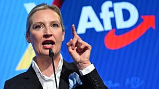 Alice Weidel, az Alternatíva Németországért vezetője pert indított az ellen, hogy az Alkotmányvédelmi Hivatal (Verfassungsschutz) "biztosított szélsőjobboldali" kategóriába sorolta. 