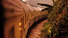 Der Eastern &amp; Oriental Express fährt durch Malaysia. 