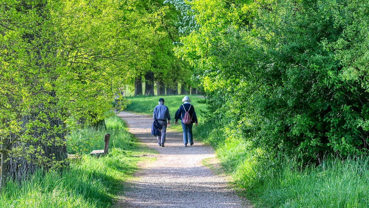 Elderly couple walking in a wood.