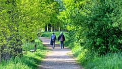 Elderly couple walking in a wood.
