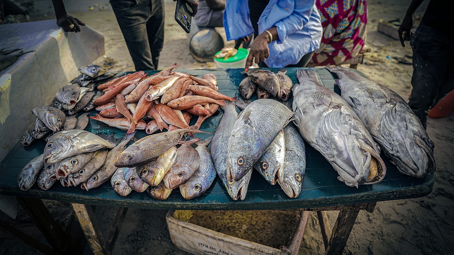 La pesca es fundamental para la economía senegalesa y la política de seguridad alimentaria del país.