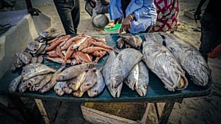 Fishing is central to the Senegalese economy and the country's food security policy.