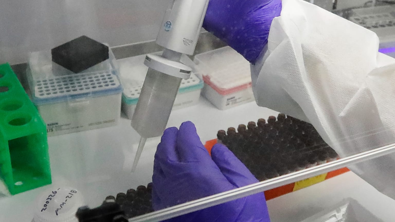 ΑΡΧΕΙΟ: Εικόνα: Δοκιμές DNA, εικονογράφηση