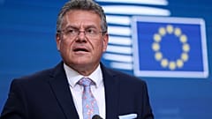 Η ΕΕ διαπραγματεύεται με τις ΗΠΑ για τον τερματισμό του εμπορικού πολέμου που έχει εξαπολύσει η κυβέρνηση του Ντόναλντ Τραμπ.