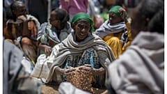 سيدة إثيوبية في إقليم تيغراي تنثر حبوباً من القمح وُزعت كمساعدة. 8 مايو 2021.