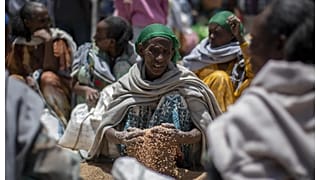 سيدة إثيوبية في إقليم تيغراي تنثر حبوباً من القمح وُزعت كمساعدة. 8 مايو 2021.