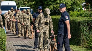 Четвероногие саперы отправляются помогать Украине