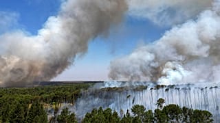 O fumo aumenta à medida que os incêndios se alastram pela Floresta Nacional de Brasília, no Brasil, em plena estação seca.