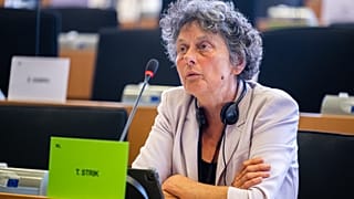 Tineke Strik, az Európai Parlament jelentéstevője 