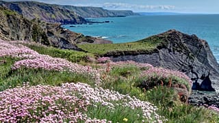 The South West Coast Path is a freely accessible walking trail which can be hiked in its entirety or accessed from many points for shorter stretches.