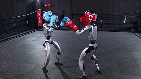 SCREENSHOT - Humanoid robots training for a boxing contest