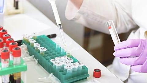 A laboratory.