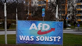 Wahlplakat der AfD. Wernigerode, 25. Januar 2025