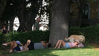 Archivo: La gente yace a la sombra en Madrid, España, el viernes 19 de julio de 2024.
