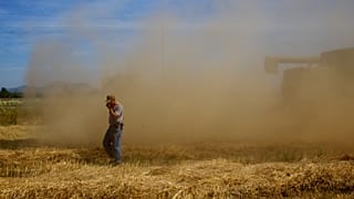 Im Mai, Juni und Juli fliegen besonders viele Pollen. Jeder dritte Deutsche hat Heuschnupfen.