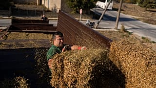 Un paysan en Grèce. 