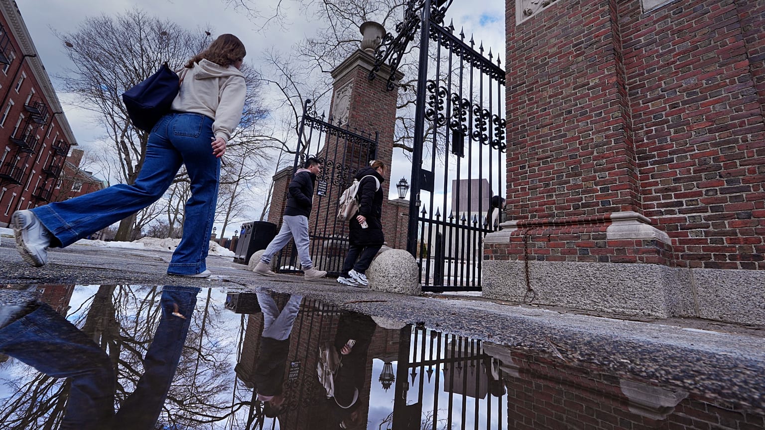 İnsanlar, Harvard Üniversitesi'nin kapısından geçerken, 26 Şubat 2025