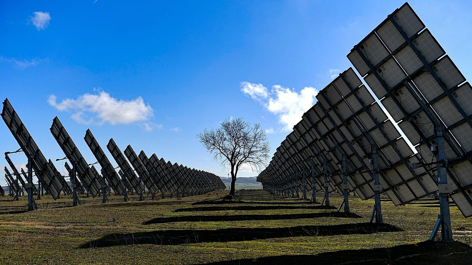 Ein Baum ist am 24. Februar 2023 in Los Arcos, Provinz Navarra, Nordspanien, von Solarzellen umgeben.