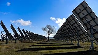 Ein Baum ist am 24. Februar 2023 in Los Arcos, Provinz Navarra, Nordspanien, von Solarzellen umgeben.