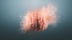 ¿Las pantallas están causando «pudrición cerebral»?