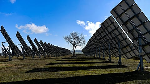 A tree is surrounded by solar panels in Los Arcos, Navarra Province, northern Spain.