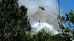 Um helicóptero de combate a incêndios deixa cair a sua carga de água num incêndio florestal perto de Mortágua, no norte de Portugal, na quinta-feira, 11 de agosto de 2016.