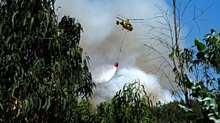 Um helicóptero de combate a incêndios deixa cair a sua carga de água num incêndio florestal perto de Mortágua, no norte de Portugal, na quinta-feira, 11 de agosto de 2016.