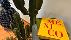 Bild der Casa de México.