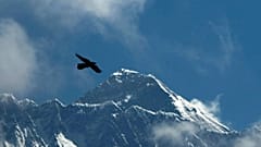 A bird flies in the backdrop of Mount Everest as seen from Namche Bajar, 27 May, 2019