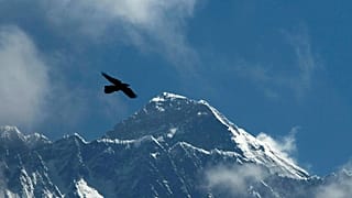 A bird flies in the backdrop of Mount Everest as seen from Namche Bajar, 27 May, 2019