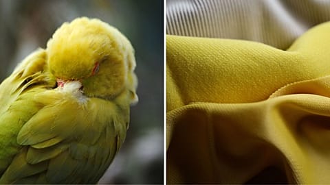 Los ríos contaminados químicamente están de moda. Estos científicos británicos crean tintes a partir de la naturaleza.