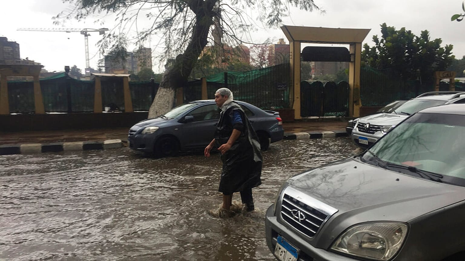 صورة أرشيفية: أمطار غزيرة في حي الزمالك بالقاهرة، 12 آذار/مارس 2020.