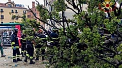 Les pompiers travaillent sur les lieux de la chute d'un arbre de 50 ans à Venise, le 2 juin 2025.