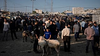 يشتري الفلسطينيون المواشي استعدادًا لحلول عيد الأضحى، وذلك في سوق بمدينة نابلس في الضفة الغربية، يوم الخميس 5 حزيران/يونيو 2025.