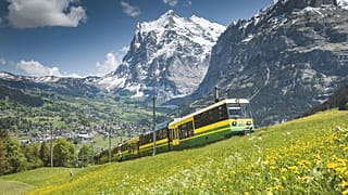 Faites une visite guidée en train pour découvrir le meilleur de la Suisse.