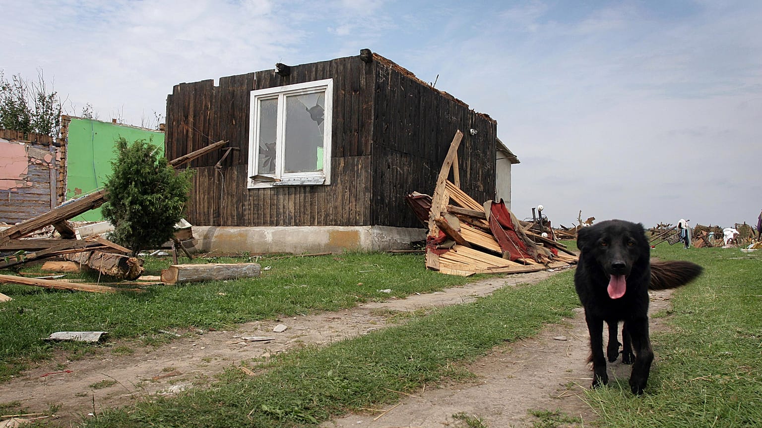 DATEI- Ein Hund streift um die Überreste eines Hauses, nachdem ein Tornado am Samstag, den 21. Juli 2007, durch Skrzydow in der Nähe von Tschenstochau (Polen) gewütet hat.