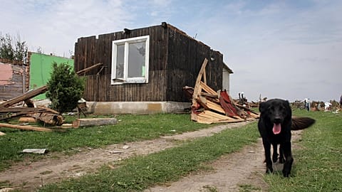 FILE- A dog wanders around the remains of a house after a tornado tore through Skrzydow, near Czestochowa, Poland, Saturday, July 21, 2007.