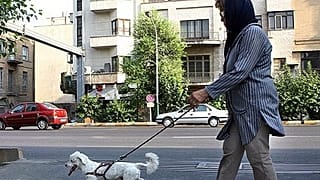 Kutyasétáltatás Teheránban, ahol ez eddig is illegális volt