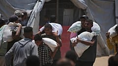 Gabonaosztás a GHF rafahi bázisán