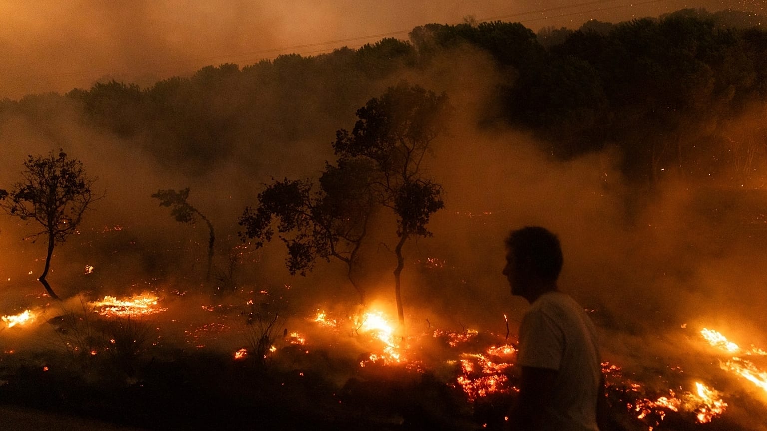 Um incêndio florestal arde na aldeia de Dikela, perto da cidade de Alexandroupolis, no nordeste da região de Evros, na Grécia, a 22 de agosto de 2023